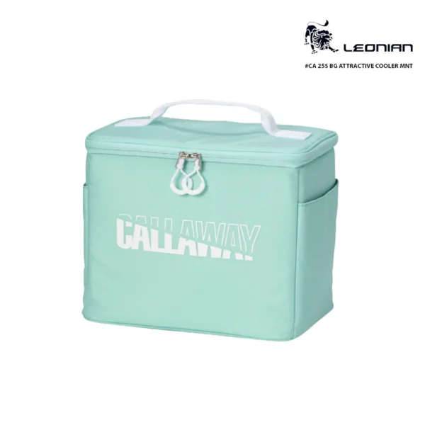 Cooler Bag (3)