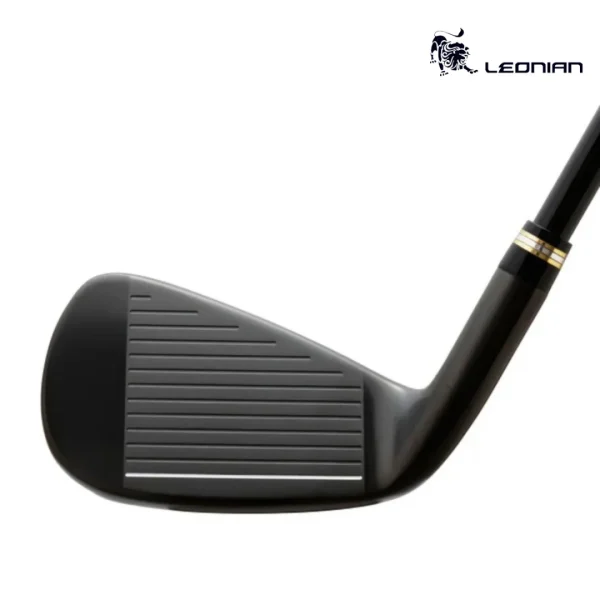 Honma Beres Black Iron (3)