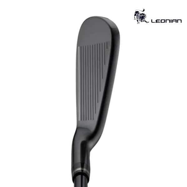 Honma Beres Black Iron (4)