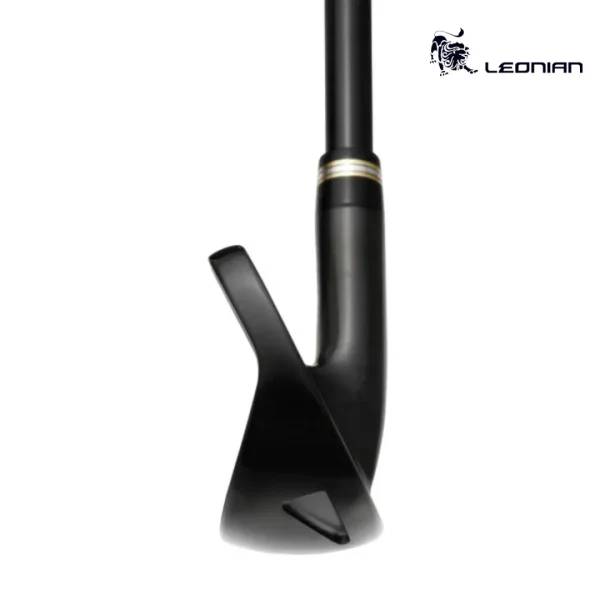 Honma Beres Black Iron (5)
