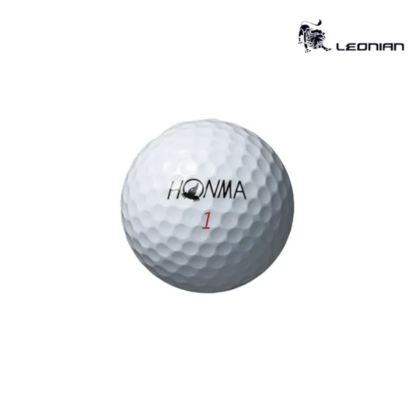 ็honma Tw X 2024 (1)